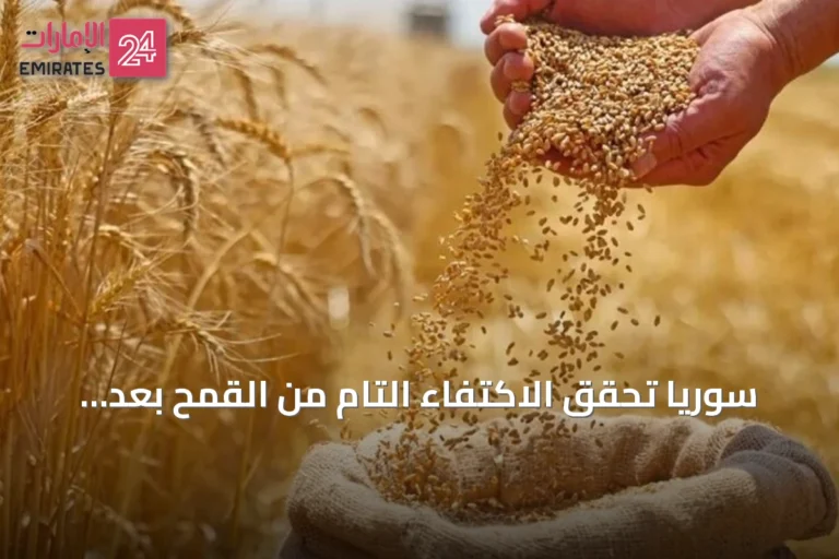 سوريا تحقق الاكتفاء التام من القمح بعد زيادة الإنتاج المحلي
