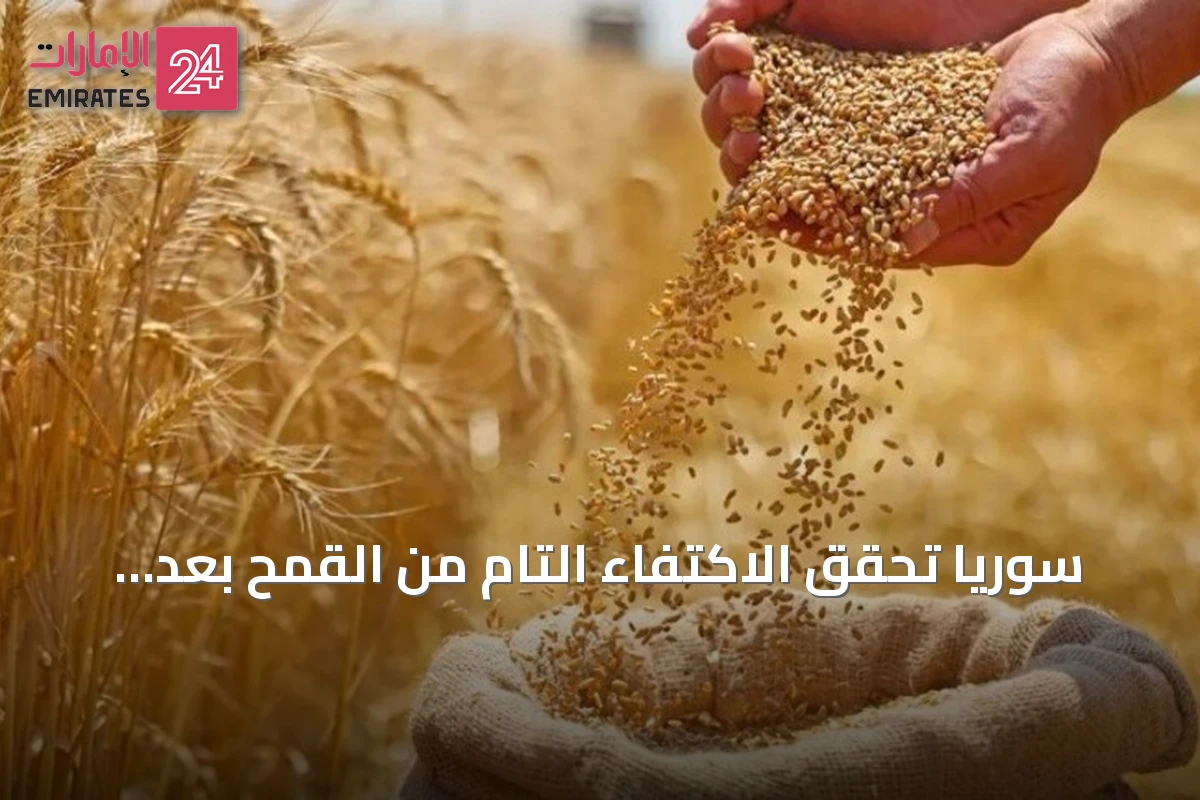 سوريا تحقق الاكتفاء التام من القمح بعد زيادة الإنتاج المحلي