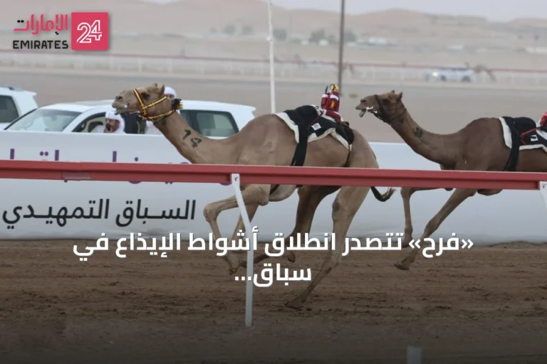 «فرح» تتصدر انطلاق أشواط الإيذاع في سباق العين التمهيدي للهجن