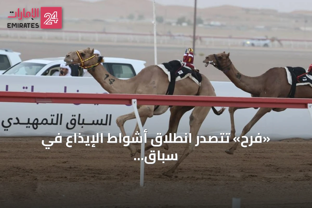 «فرح» تتصدر انطلاق أشواط الإيذاع في سباق العين التمهيدي للهجن