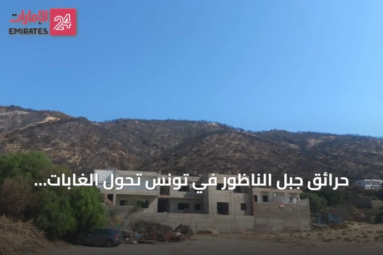 حرائق جبل الناظور في تونس تحوّل الغابات الخضراء إلى سواد ورماد