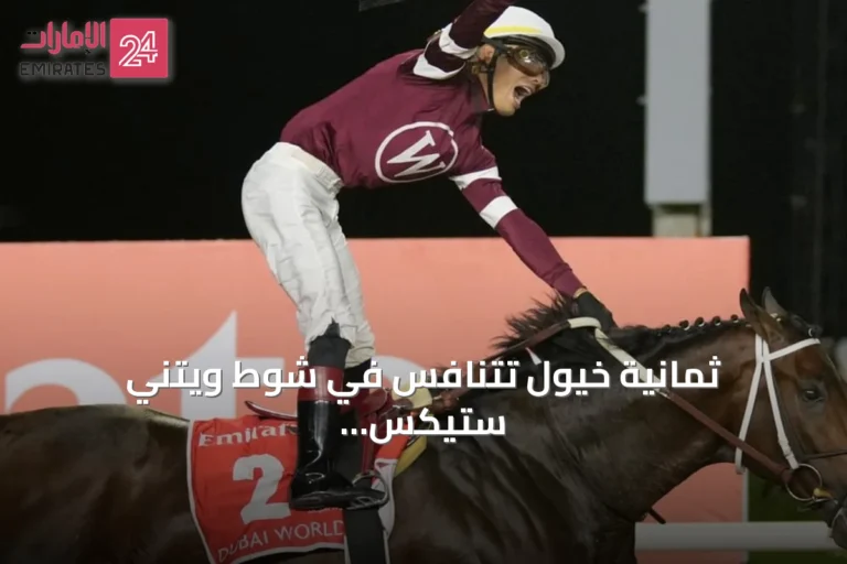 ثمانية خيول تتنافس في شوط ويتني ستيكس بالولايات المتحدة