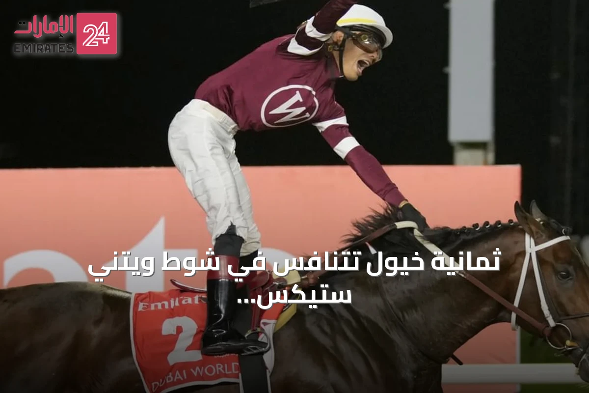 ثمانية خيول تتنافس في شوط ويتني ستيكس بالولايات المتحدة