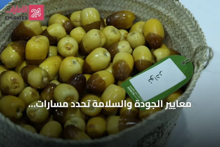 معايير الجودة والسلامة تحدد مسارات المنافسة في مهرجان الوثبة للرطب