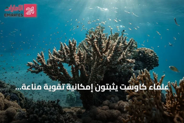 علماء كاوست يثبتون إمكانية تقوية مناعة المرجان ضد الأمراض عبر التهيئة المسبقة