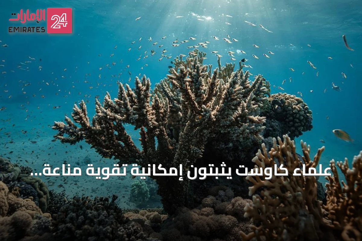 علماء كاوست يثبتون إمكانية تقوية مناعة المرجان ضد الأمراض عبر التهيئة المسبقة