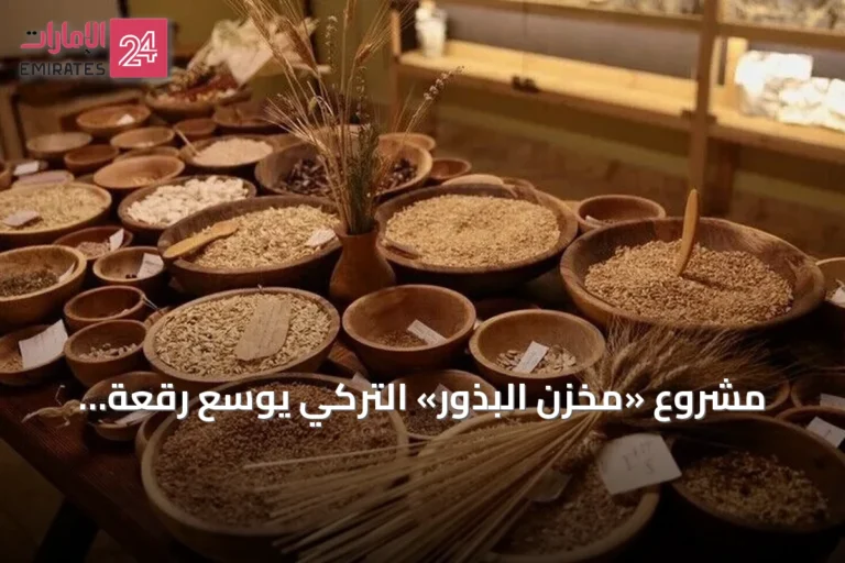 مشروع «مخزن البذور» التركي يوسع رقعة زراعة قمح يعود لعصور ما قبل التاريخ