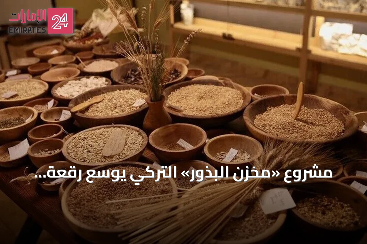مشروع «مخزن البذور» التركي يوسع رقعة زراعة قمح يعود لعصور ما قبل التاريخ