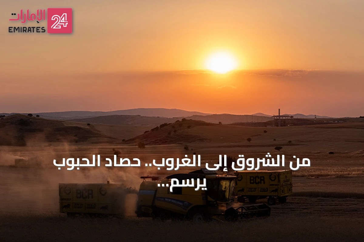 من الشروق إلى الغروب.. حصاد الحبوب يرسم لوحة ذهبية بحقول يوزغات التركية