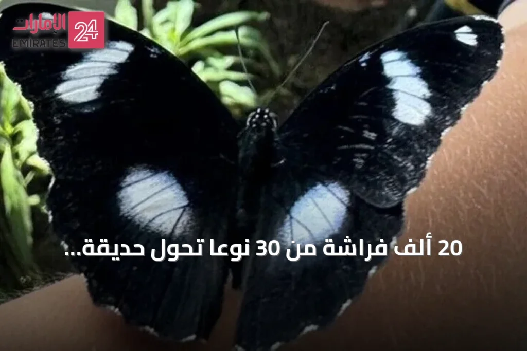 20 ألف فراشة من 30 نوعاً تحوّل حديقة أنطاليا إلى وجهة استوائية ساحرة