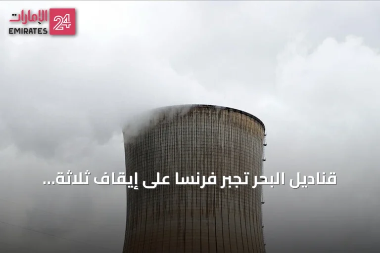 قناديل البحر تُجبر فرنسا على إيقاف ثلاثة مفاعلات نووية في محطة غرافلين