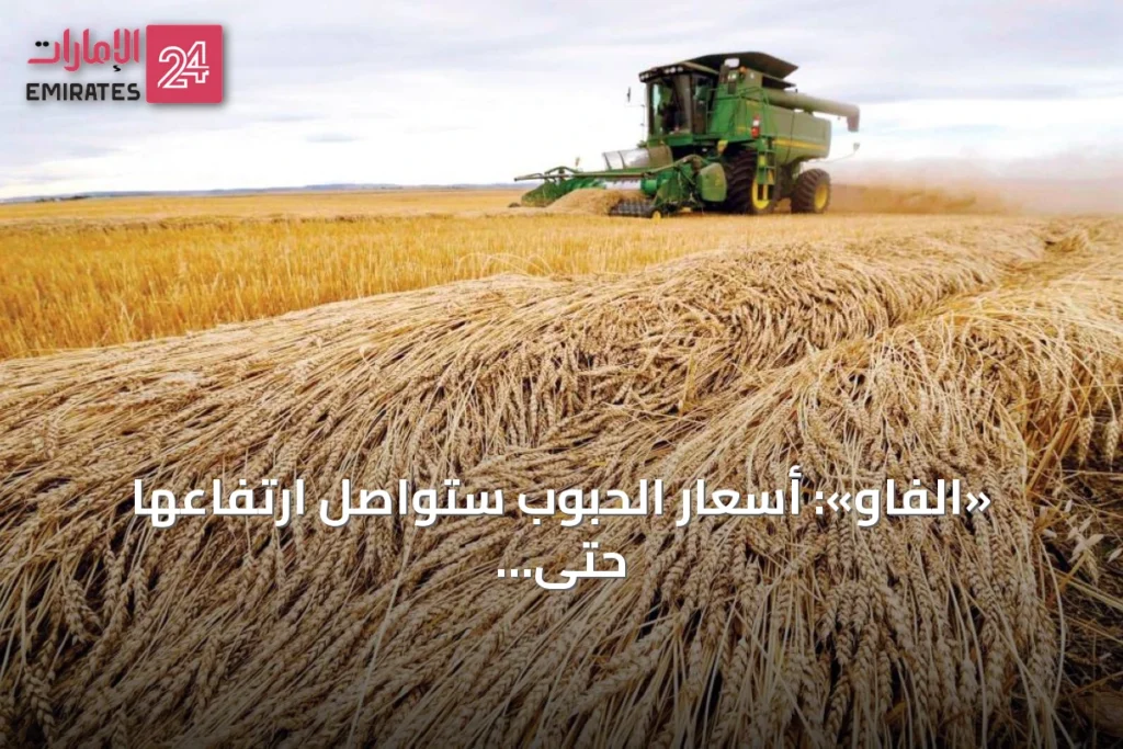 «الفاو»: أسعار الحبوب ستواصل ارتفاعها حتى نهاية العام