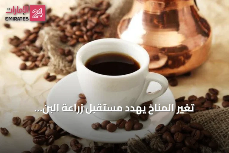 تغير المناخ يهدد مستقبل زراعة البن.. وفنجانك الصباحي قد يتغير