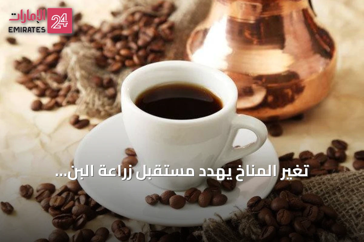 تغير المناخ يهدد مستقبل زراعة البن.. وفنجانك الصباحي قد يتغير