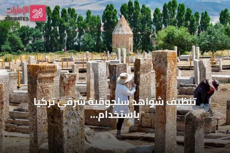 تنظيف شواهد سلجوقية شرقي تركيا باستخدام مشارط جراحية يكشف نقوشاً مخفية