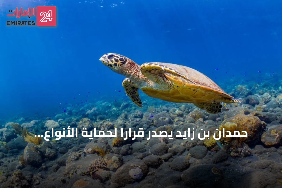 حمدان بن زايد يصدر قراراً لحماية الأنواع والموائل في أبوظبي