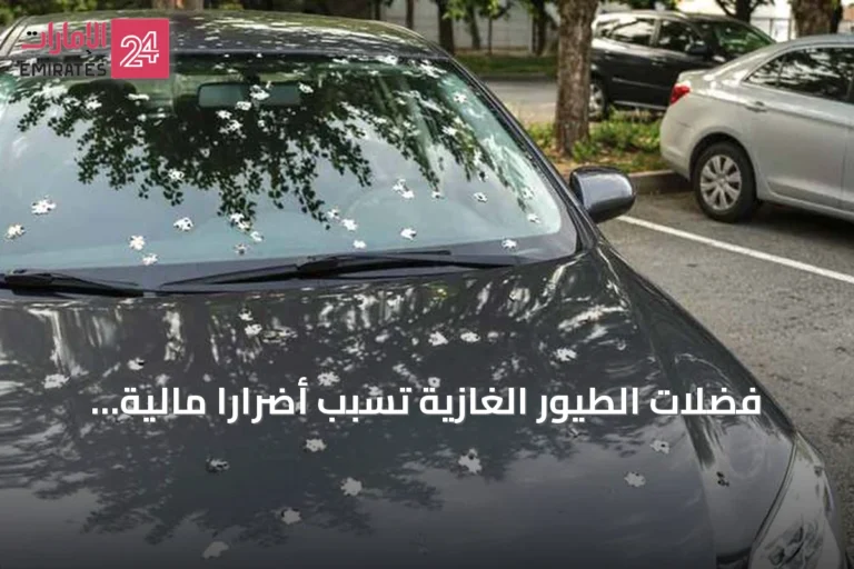 فضلات الطيور الغازية تسبب أضرارًا مالية لأصحاب المركبات