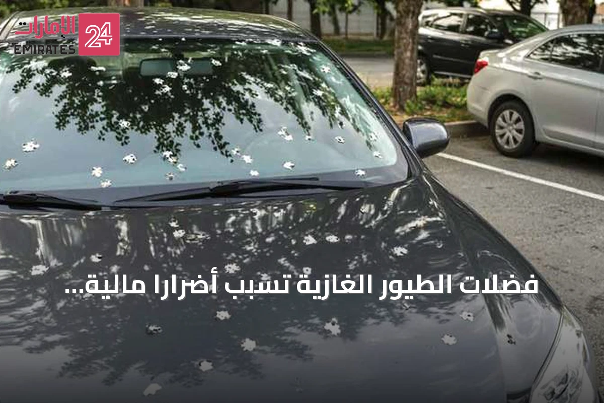 فضلات الطيور الغازية تسبب أضرارًا مالية لأصحاب المركبات