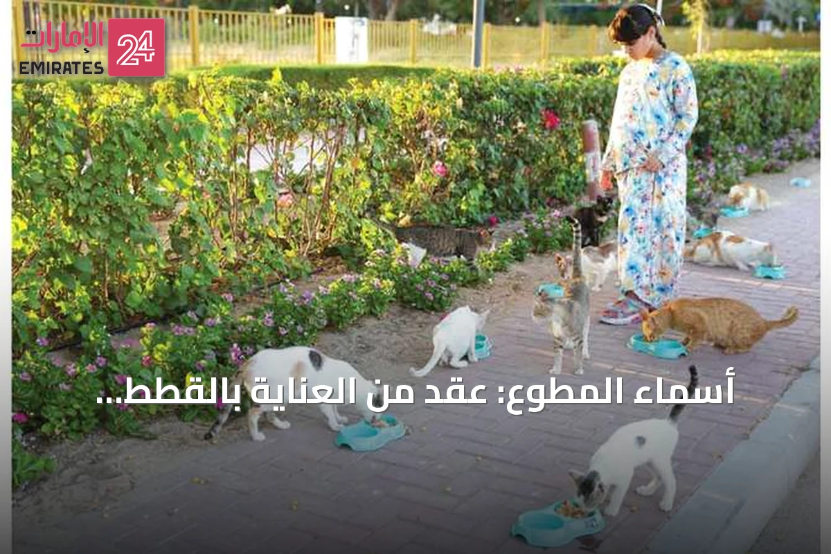 أسماء المطوع: عقد من العناية بالقطط السائبة في الإمارات