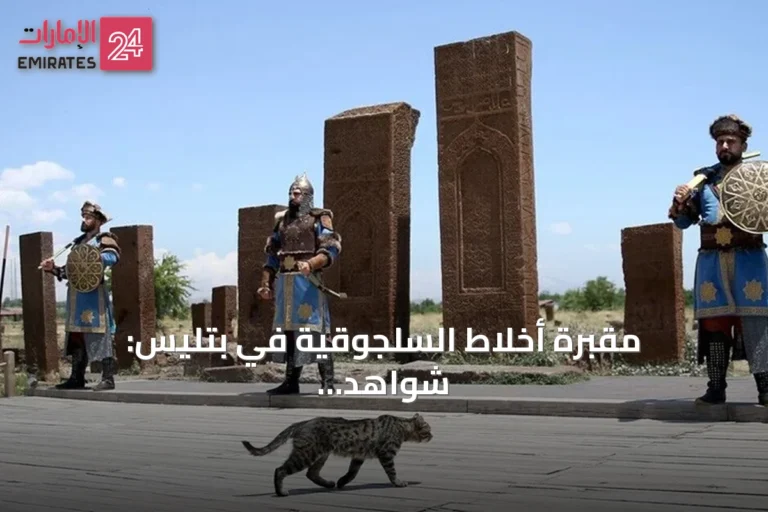 مقبرة أخلاط السلجوقية في بتليس: شواهد حجرية وحراسة تراثية تجذب الزوار