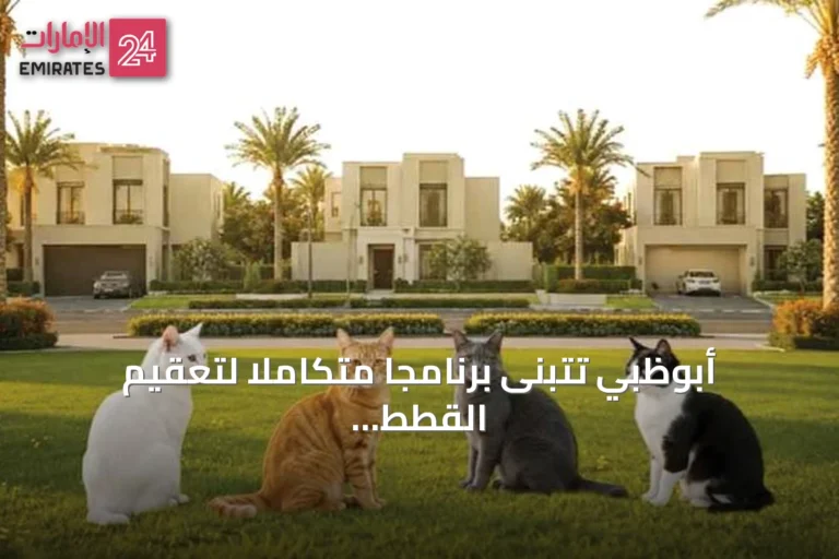 أبوظبي تتبنى برنامجا متكاملا لتعقيم القطط السائبة وإرجاعها إلى بيئتها الطبيعية