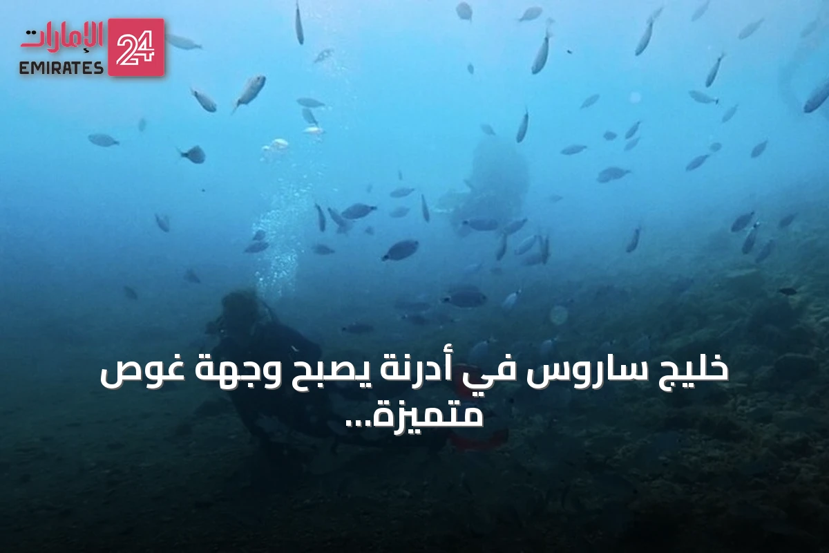 خليج ساروس في أدرنة يصبح وجهة غوص متميزة بفضل الشعاب الاصطناعية