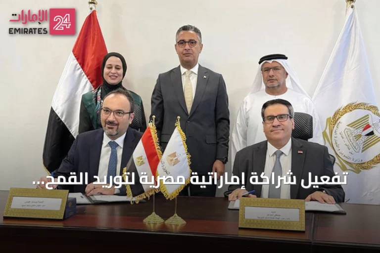 تفعيل شراكة إماراتية مصرية لتوريد القمح بقيمة نصف مليار دولار لخمس سنوات