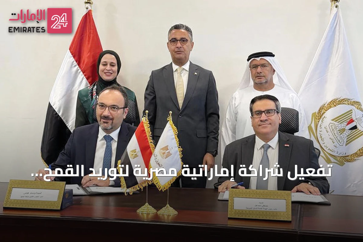 تفعيل شراكة إماراتية مصرية لتوريد القمح بقيمة نصف مليار دولار لخمس سنوات