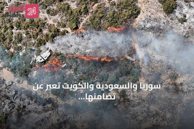 سوريا والسعودية والكويت تعبر عن تضامنها مع الجزائر بعد حرائق الغابات