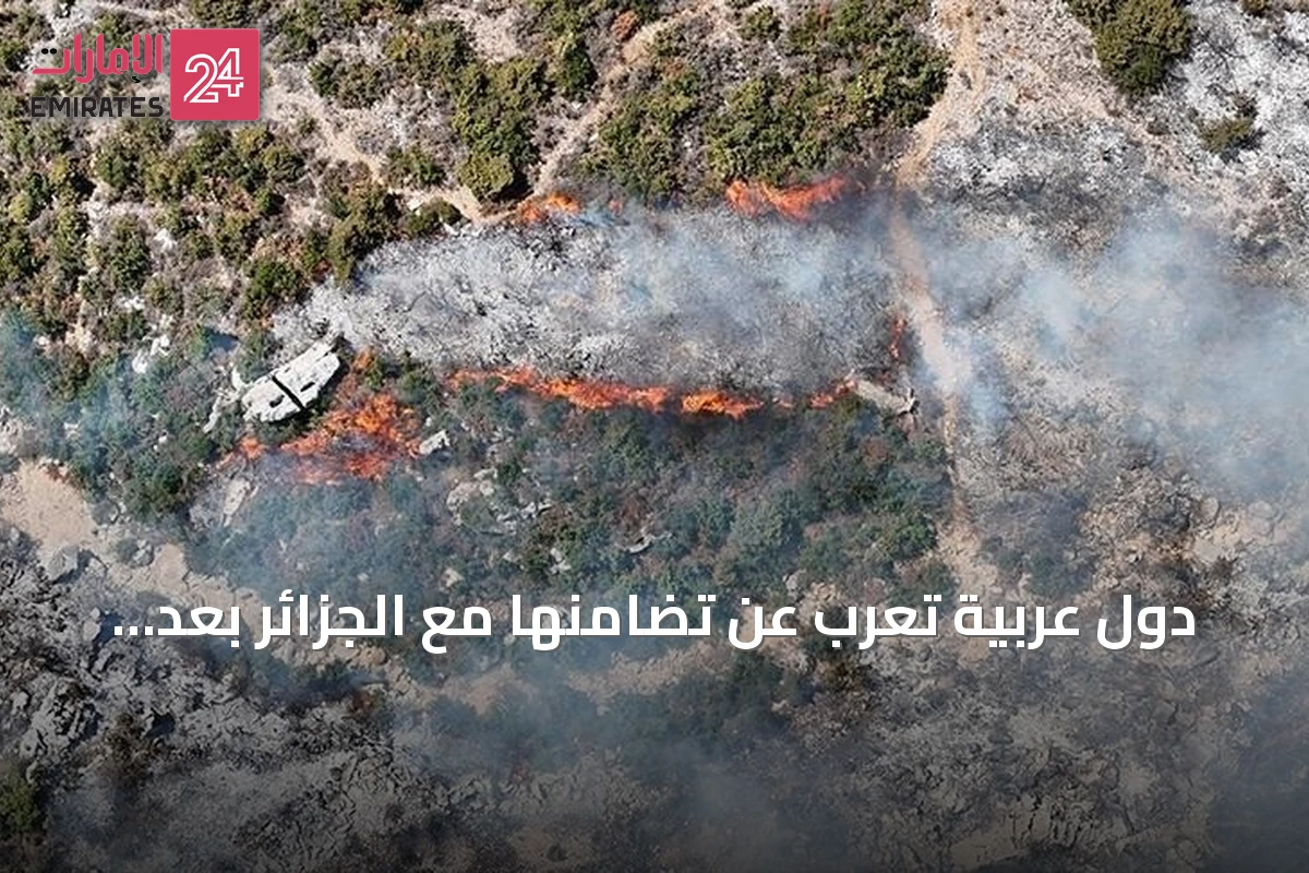 دول عربية تعرب عن تضامنها مع الجزائر بعد حرائق الغابات