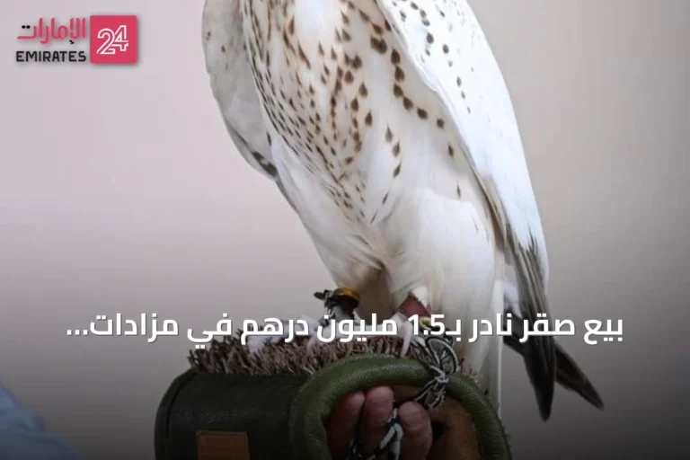 بيع صقر نادر بـ1.5 مليون درهم في مزادات معرض أبوظبي الدولي للصيد والفروسية 2026