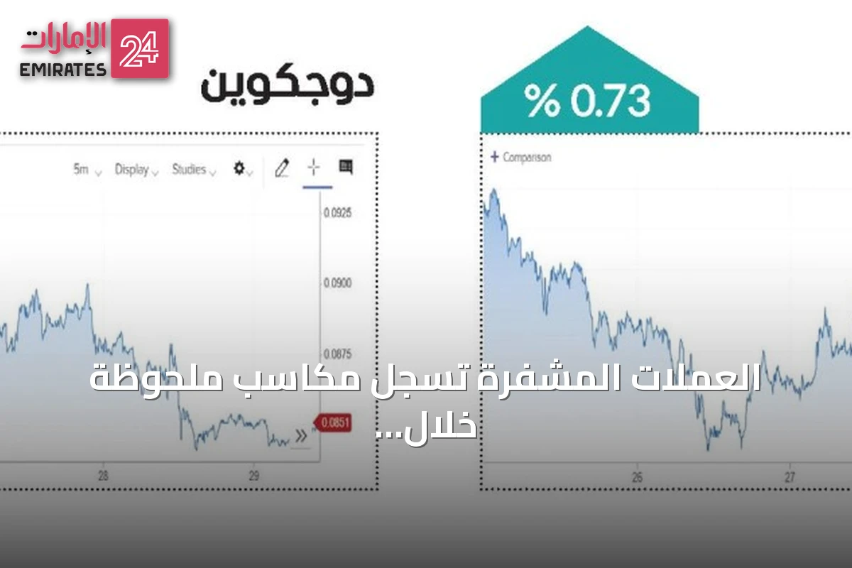 العملات المشفرة تسجل مكاسب ملحوظة خلال الأسبوع المنتهي في 28 أغسطس