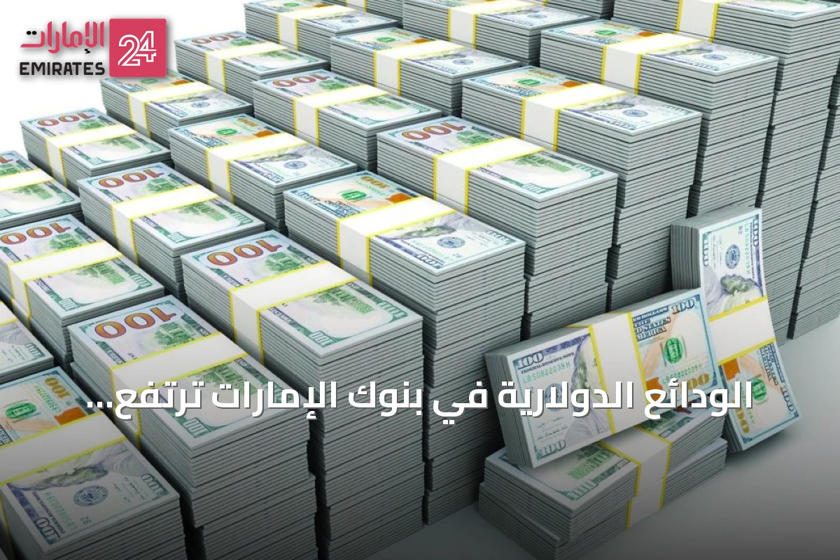 الودائع الدولارية في بنوك الإمارات ترتفع أكثر من 20% سنوياً