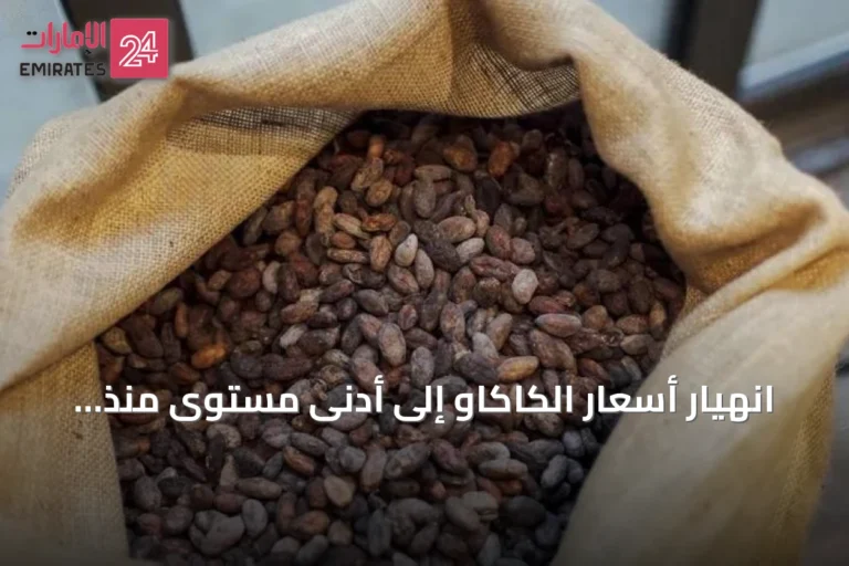 انهيار أسعار الكاكاو إلى أدنى مستوى منذ ثلاث سنوات مع تفاقم فائض المعروض