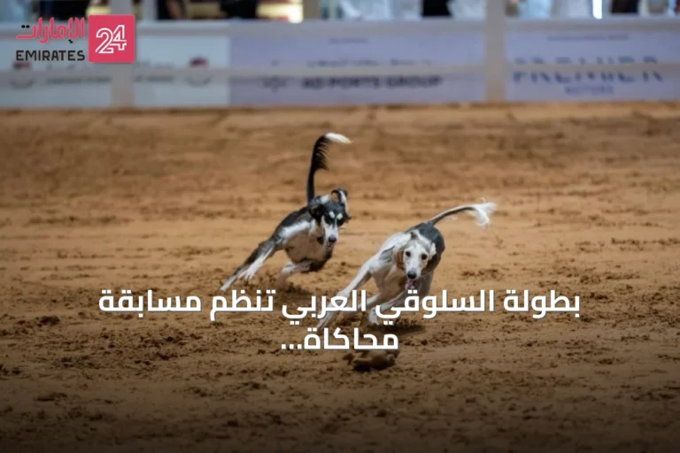 بطولة السلوقي العربي تنظم مسابقة محاكاة الصيد ضمن فعاليات معرض أبوظبي للصيد