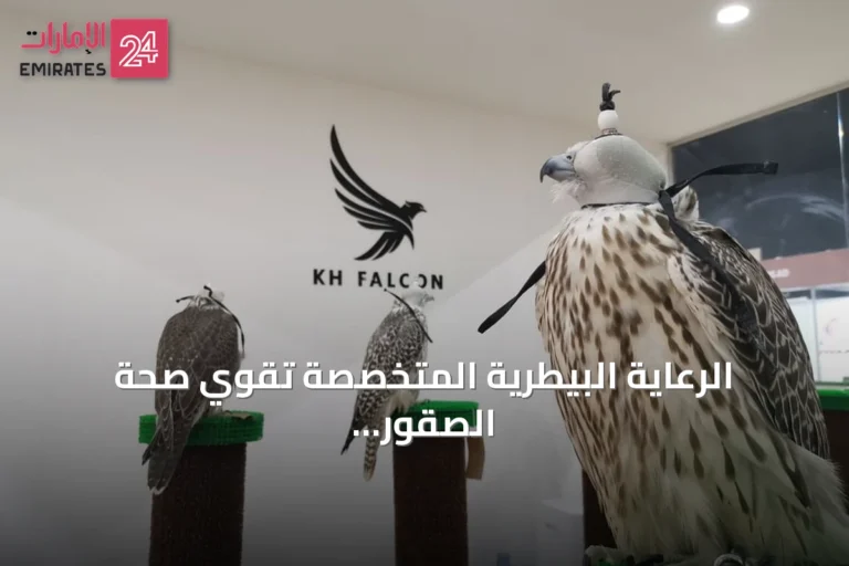 الرعاية البيطرية المتخصصة تقوي صحة الصقور في معرض أبوظبي الدولي للصيد والفروسية 2026