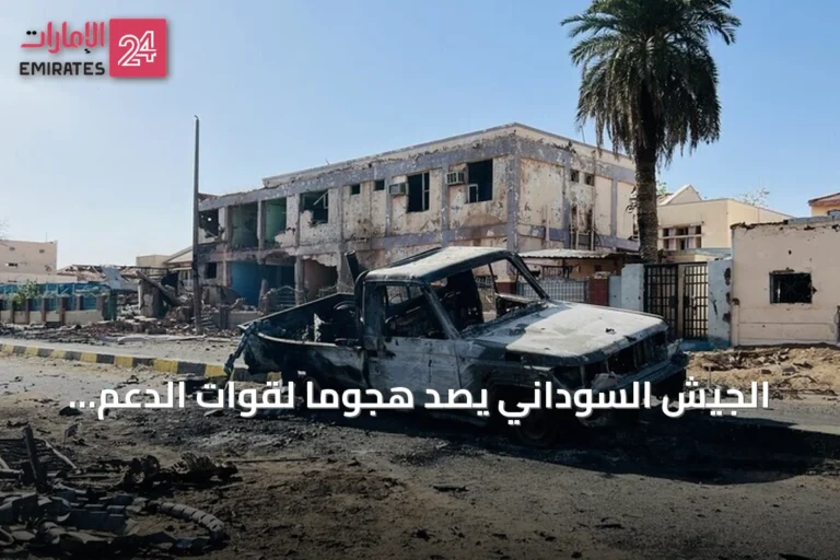 الجيش السوداني يصد هجومًا لقوات الدعم السريع والحركة الشعبية/ شمال بمنطقة البركة في النيل الأزرق
