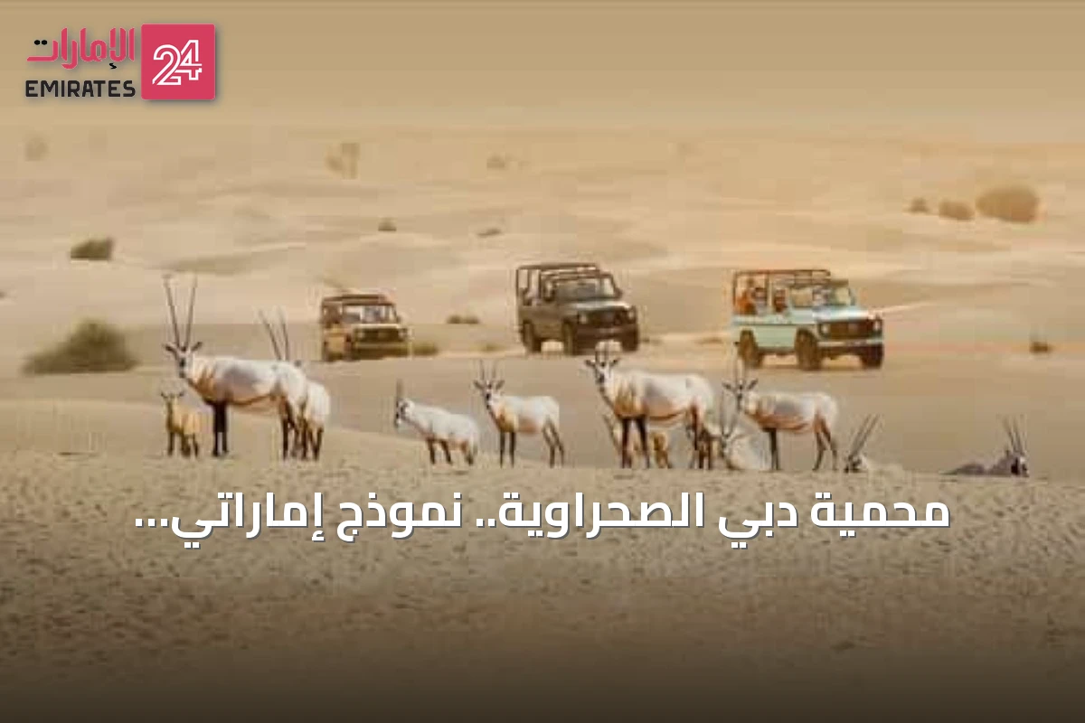 محمية دبي الصحراوية.. نموذج إماراتي لحماية التنوع البيئي الصحراوي