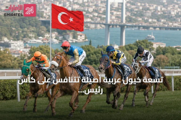 تسعة خيول عربية أصيلة تتنافس على كأس رئيس الدولة في إسطنبول