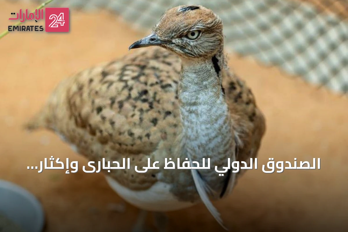 الصندوق الدولي للحفاظ على الحبارى وإكثار يوقعان أكثر من إحدى عشرة اتفاقية خلال معرض أبوظبي 2026