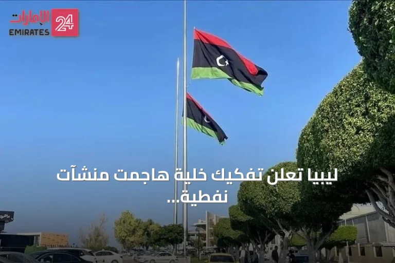 ليبيا تعلن تفكيك خلية هاجمت منشآت نفطية وكهربائية بالطائرات المسيرة