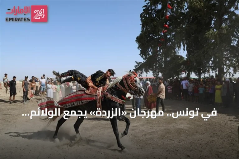 في تونس.. مهرجان «الزردة» يجمع الولائم والفروسية احتفاءً بموسم الحصاد