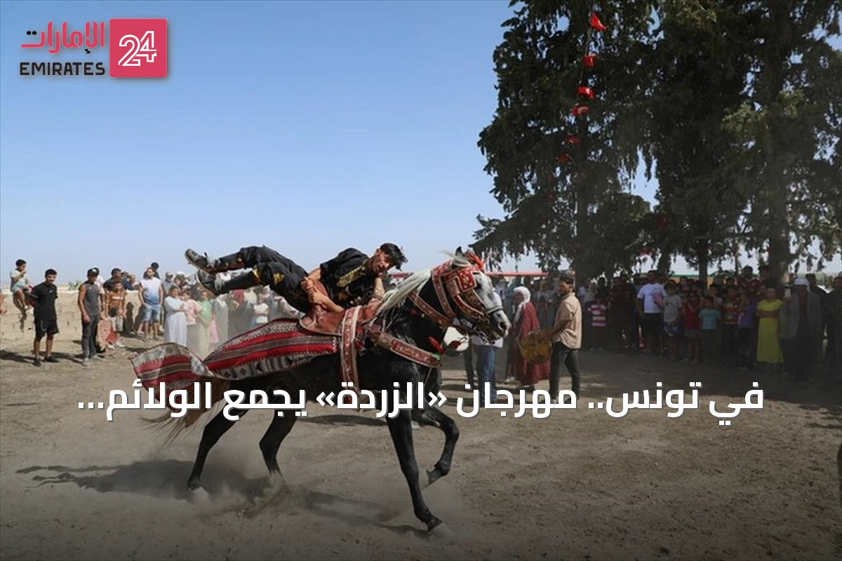في تونس.. مهرجان «الزردة» يجمع الولائم والفروسية احتفاءً بموسم الحصاد