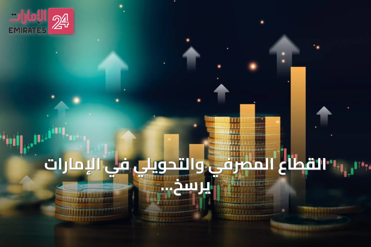 القطاع المصرفي والتحويلي في الإمارات يرسخ دوره كجسر مالي دولي