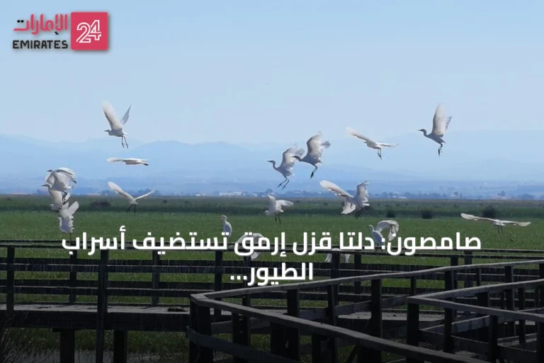 صامصون: دلتا قزل إرمق تستضيف أسراب الطيور المهاجرة