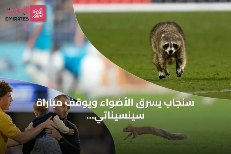 سنجاب يسرق الأضواء ويوقف مباراة سينسيناتي وشارلوت في الدوري الأمريكي