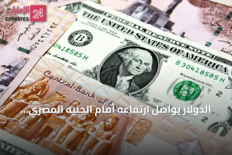 الدولار يواصل ارتفاعه أمام الجنيه المصري ويصل إلى مستويات قرب 52 جنيهاً