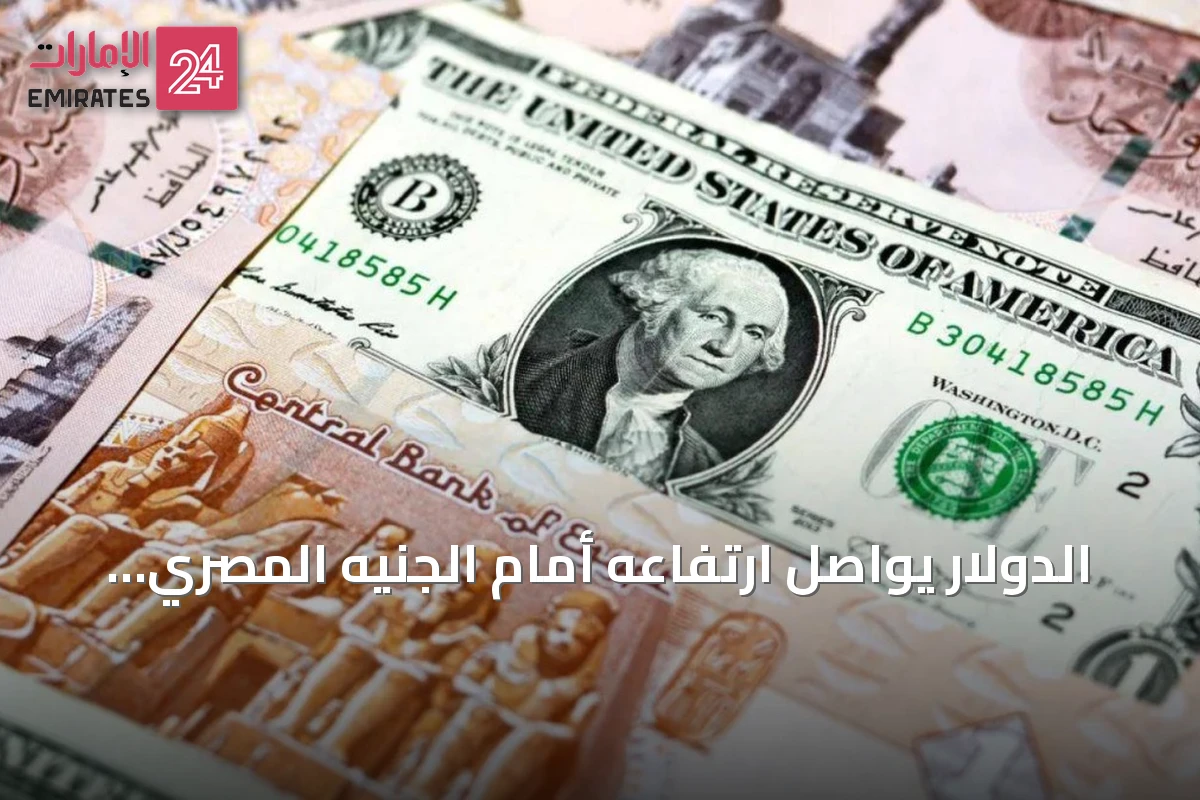 الدولار يواصل ارتفاعه أمام الجنيه المصري ويصل إلى مستويات قرب 52 جنيهاً