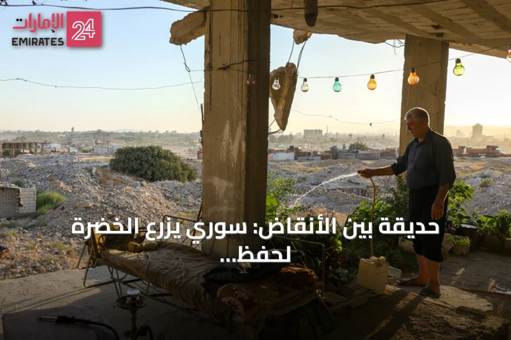حديقة بين الأنقاض: سوري يزرع الخضرة لحفظ ذكرى أسرته المفقودة