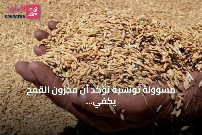 مسؤولة تونسية تؤكد أن مخزون القمح يكفي حتى يناير المقبل
